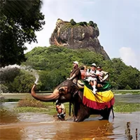 sigiriya elephant ride