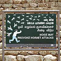 your safelt at sigiriya